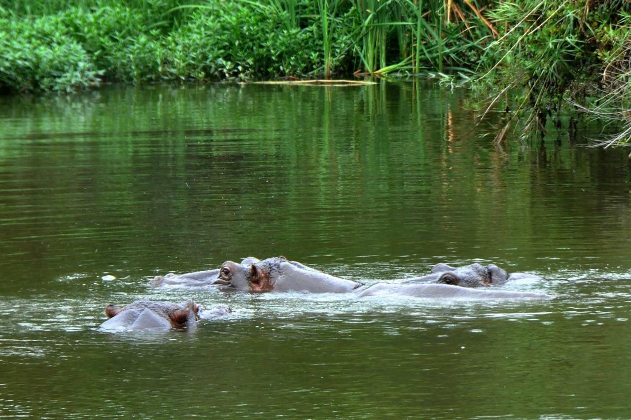 Kruger Park Lodge Unit No. 243 Hazyview Bagian luar foto